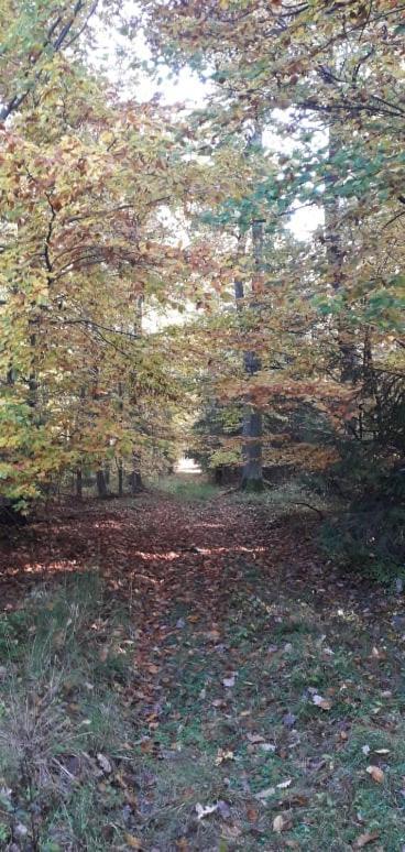 Penzion Slunovrat Běstvina Exteriör bild